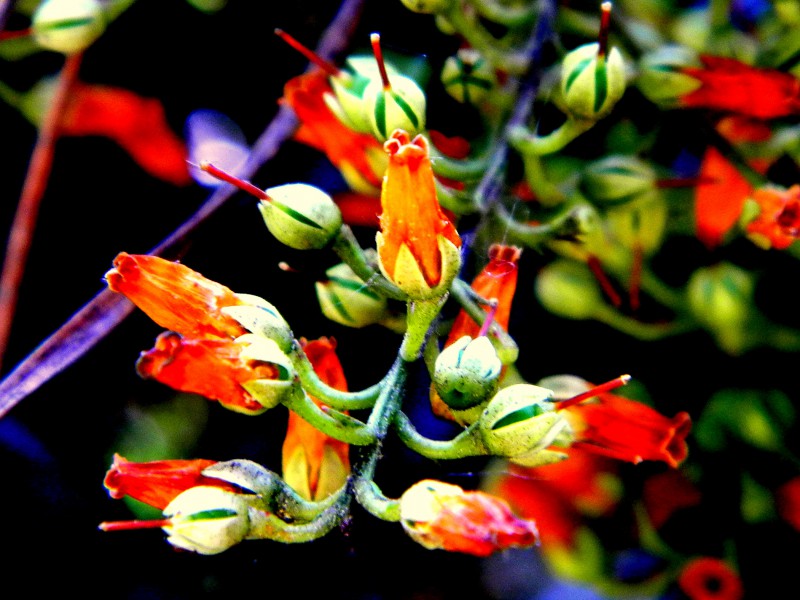 fotó pályázatokon díjazott alkotásainak gyűjteményes vándorkiállítására.